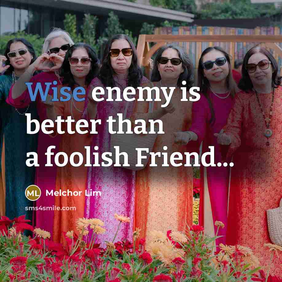 “Wise enemy is better than a foolish Friend...…” quote by Melchor Lim