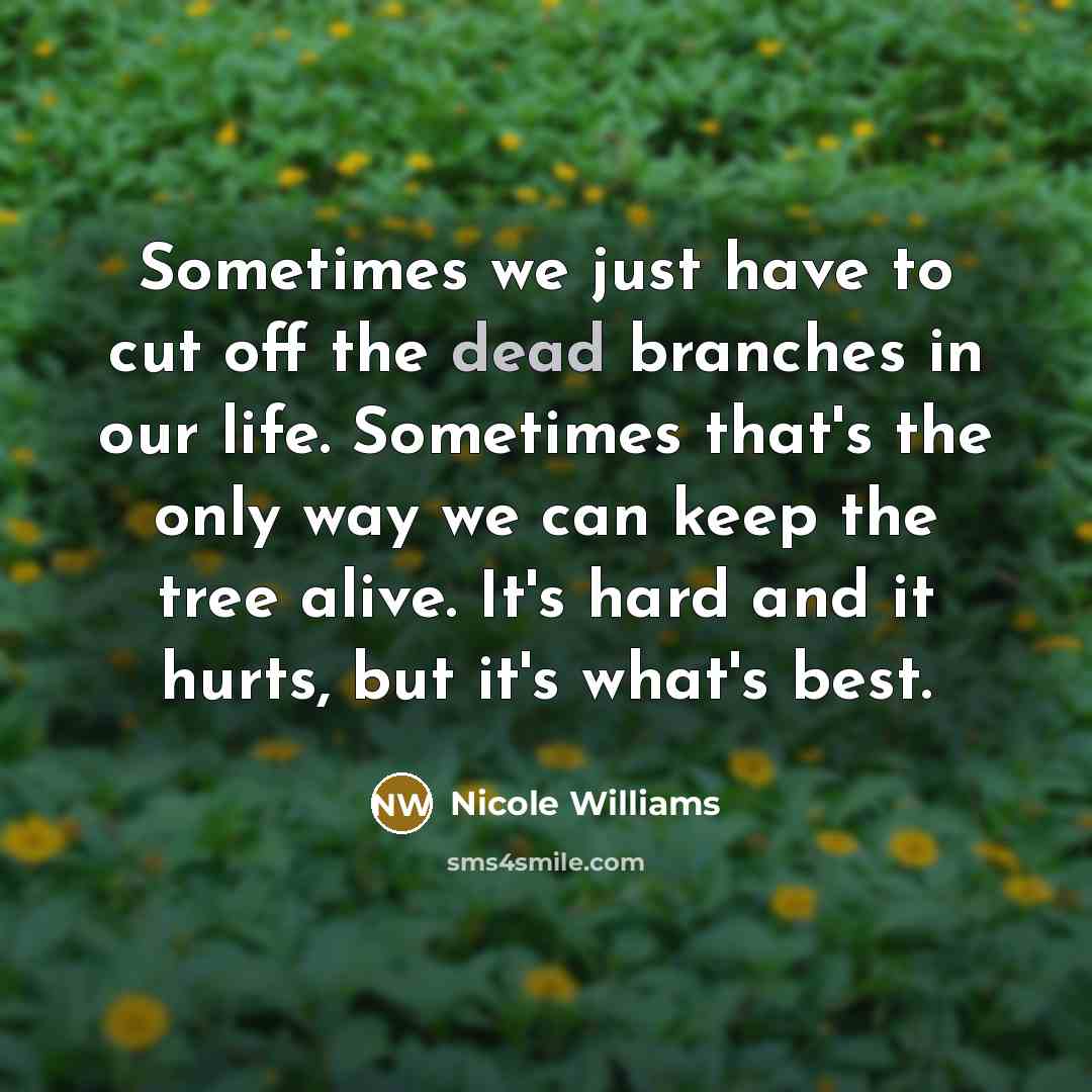 “Sometimes we just have to cut off the dead branches…” quote by Nicole Williams