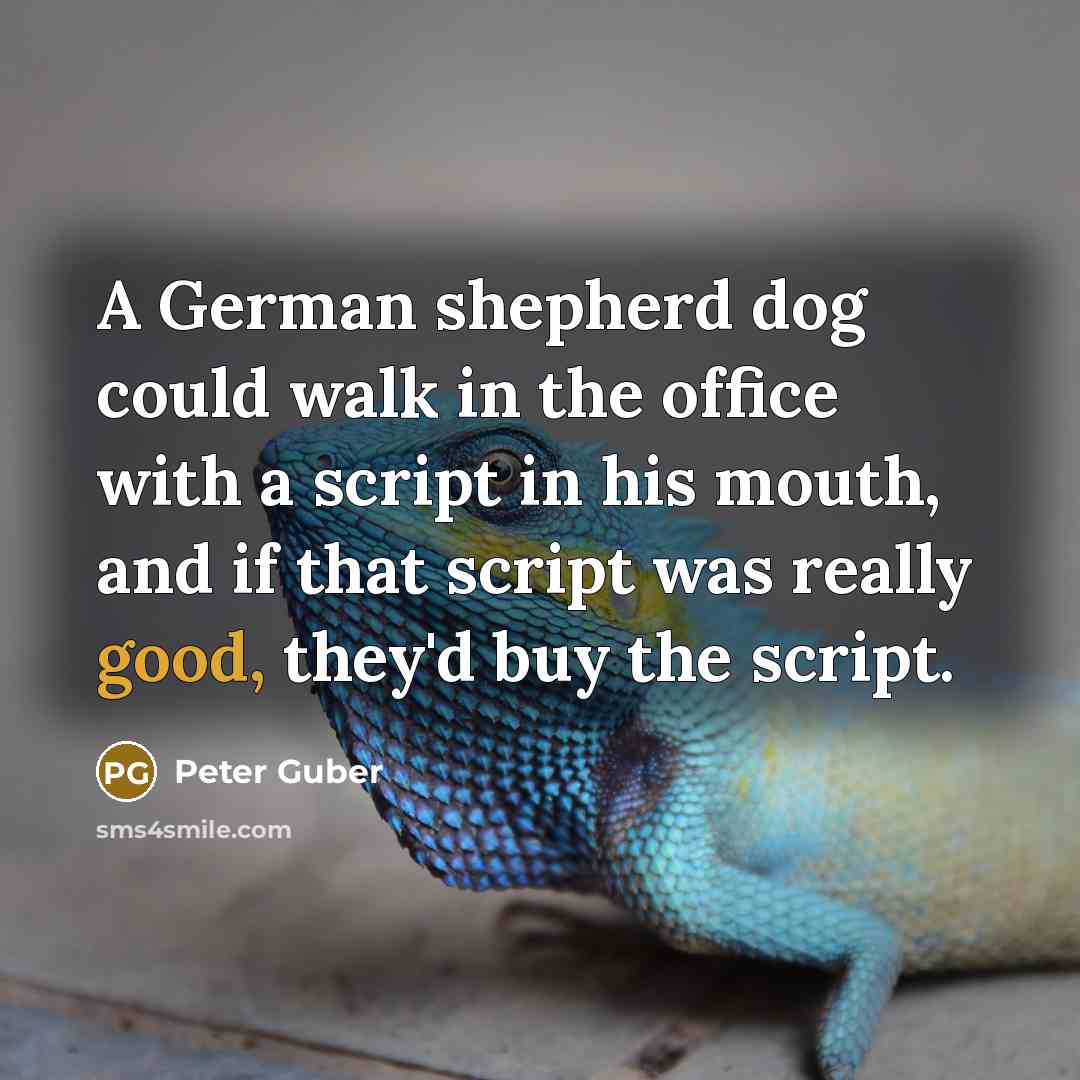 “A German shepherd dog could walk in the office with a script in his mouth, and if that script was really good, they'd buy the script.” quote by Peter Guber