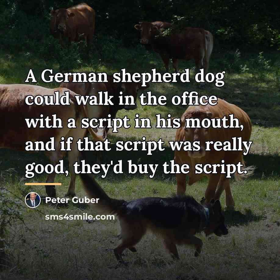 “A German shepherd dog could walk in the office with…” quote by Peter Guber