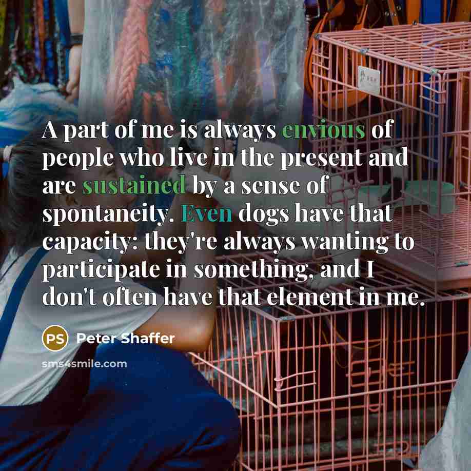 “A part of me is always envious of people who…” quote by Peter Shaffer