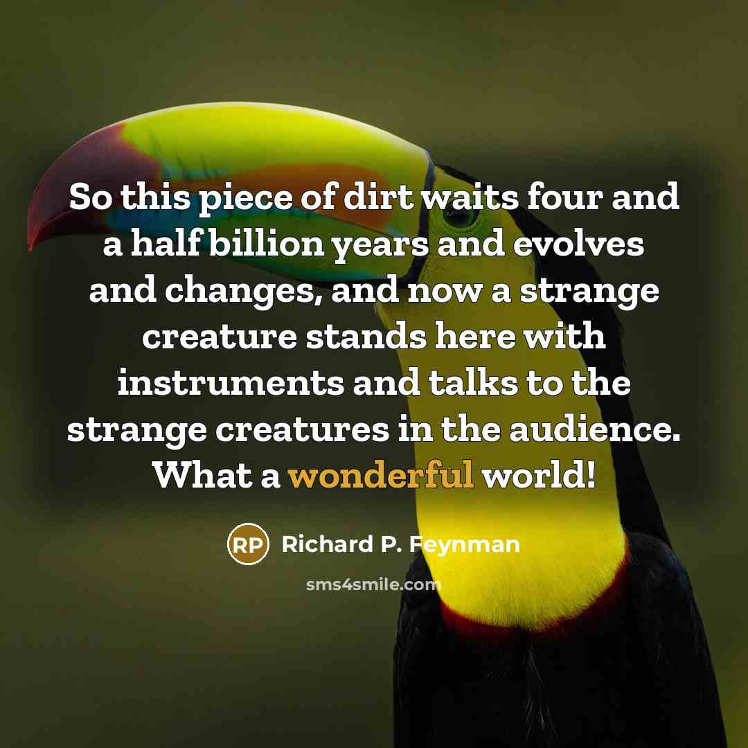 “So this piece of dirt waits four and a half…” quote by Richard P. Feynman