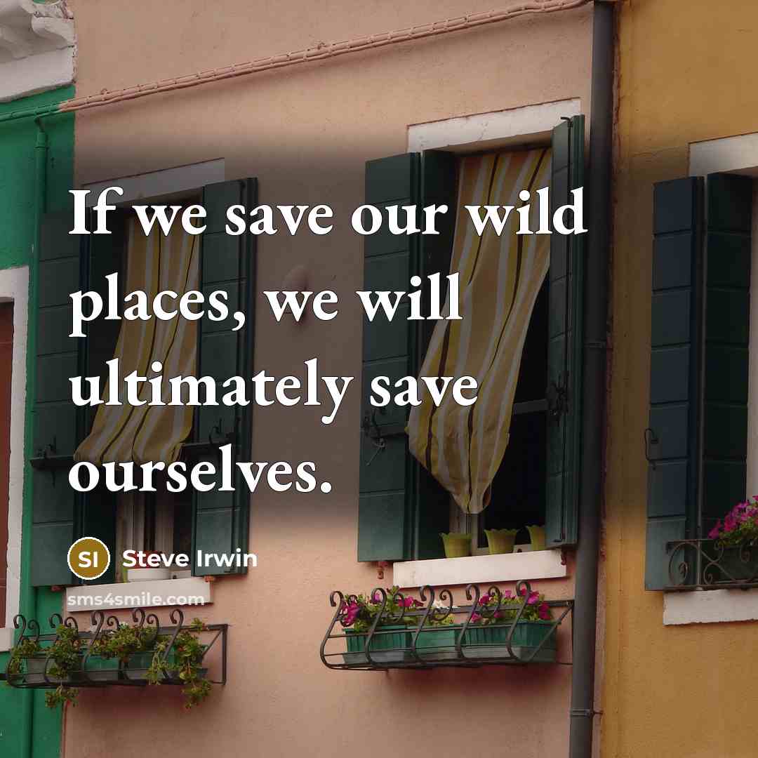 “If we save our wild places, we will ultimately save ourselves.” quote by Steve Irwin