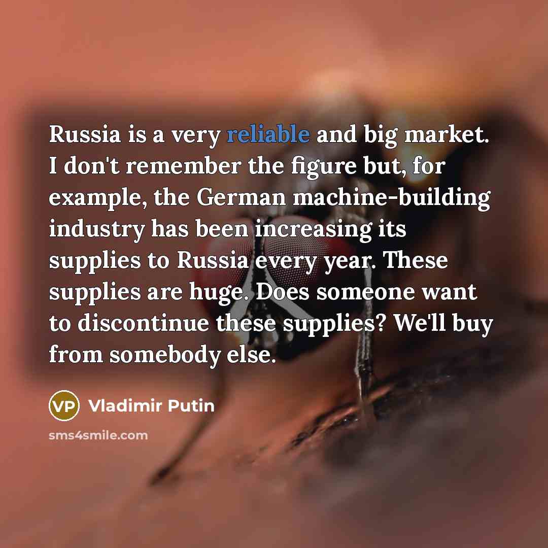 “Russia is a very reliable and big market. I don't…” quote by Vladimir Putin