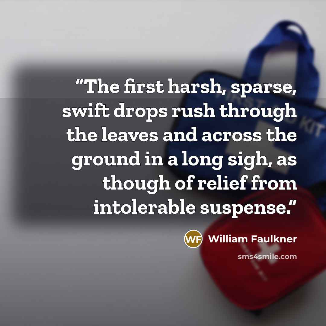 “The first harsh, sparse, swift drops rush through the leaves and across the ground in a long sigh, as though of relief from intolerable suspense.” quote by William Faulkner