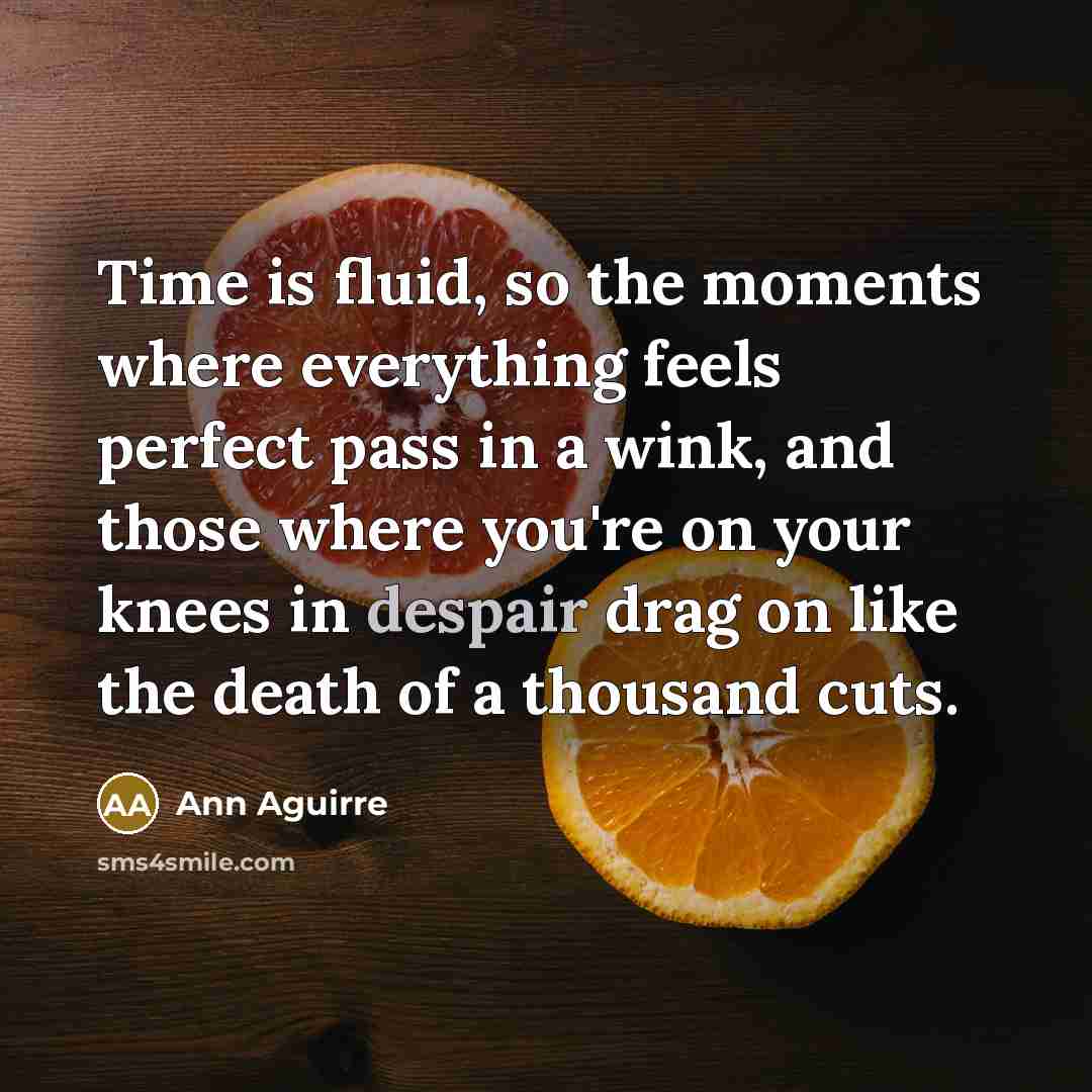 “Time is fluid, so the moments where everything feels perfect…” quote by Ann Aguirre