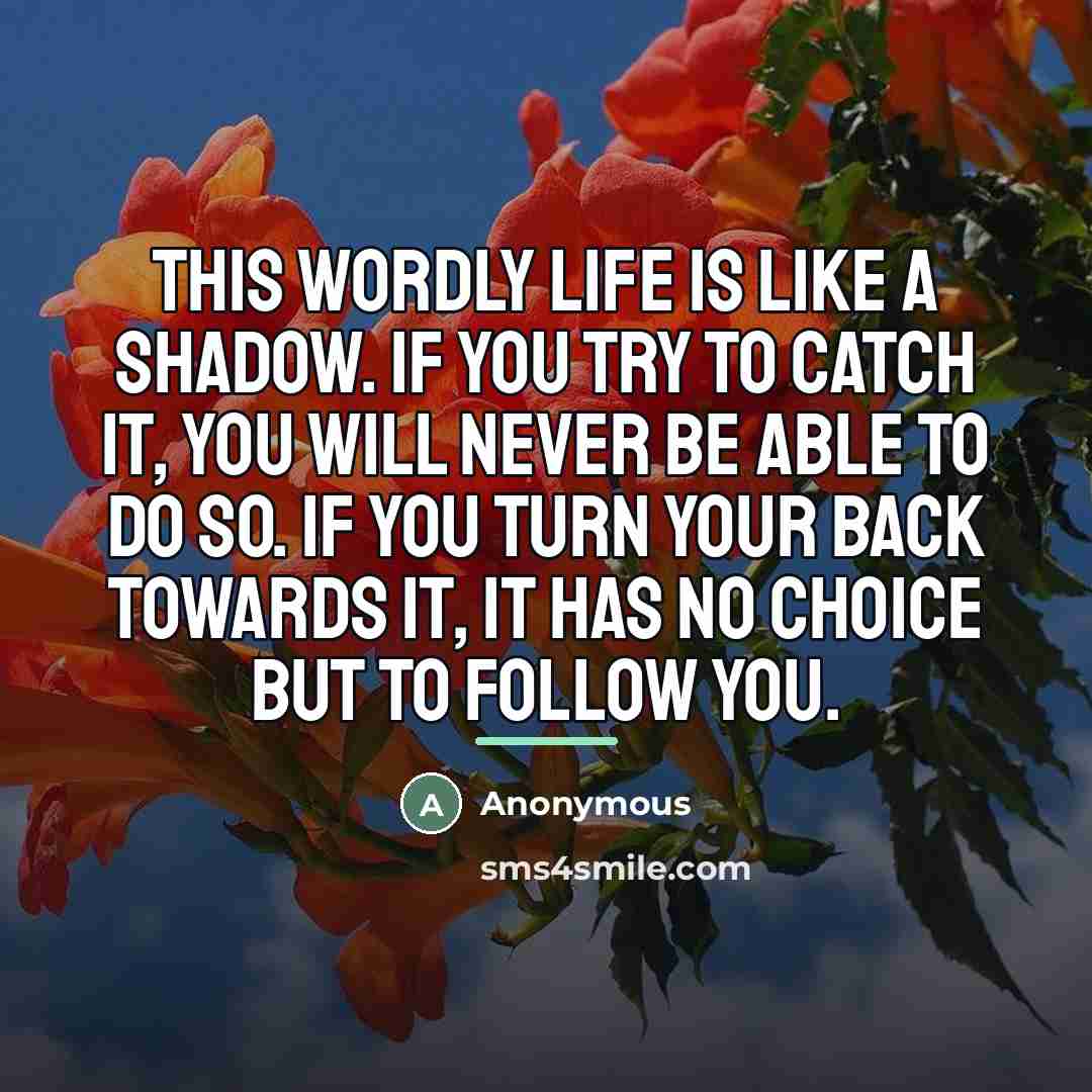 “This wordly life is like a shadow. If you try…” quote by Anonymous