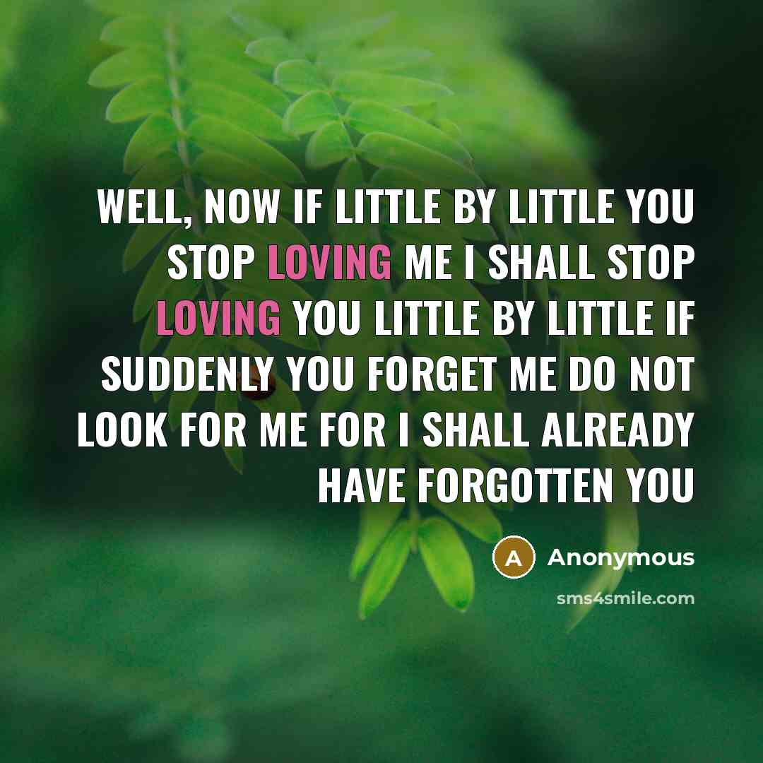 “Well, now If little by little you stop loving me I shall stop loving you Little by little If suddenly you forget me Do not look for me For I shall already have forgotten you” quote by Anonymous
