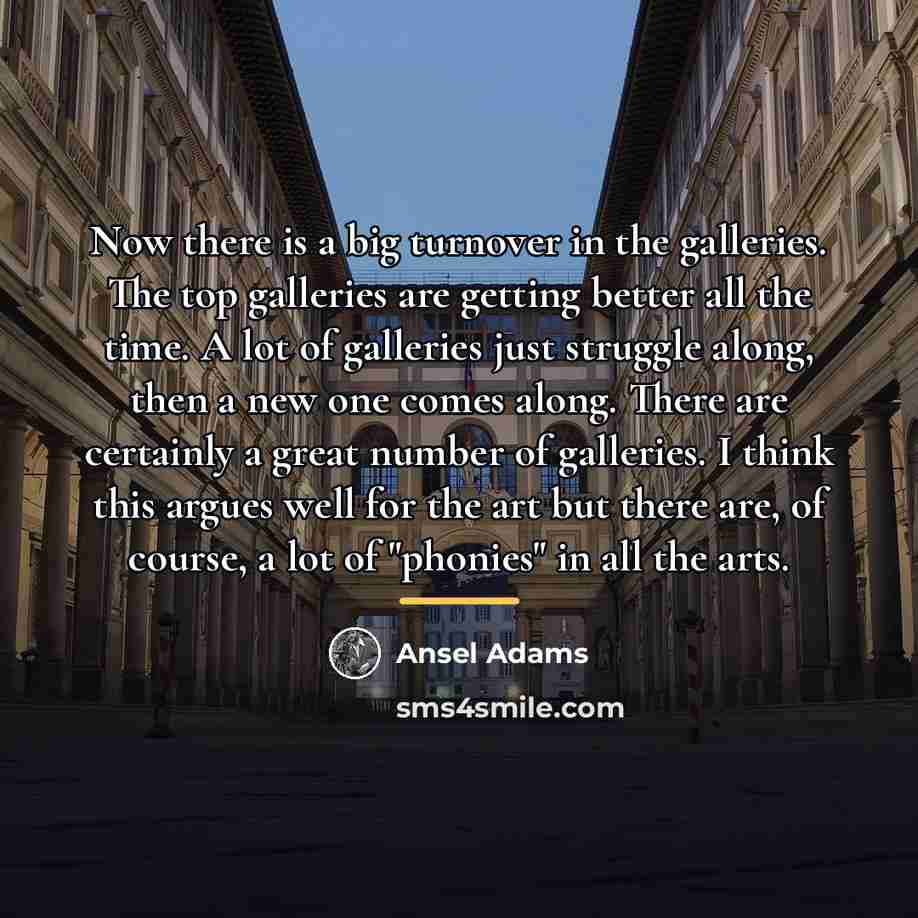 “Now there is a big turnover in the galleries. The…” quote by Ansel Adams