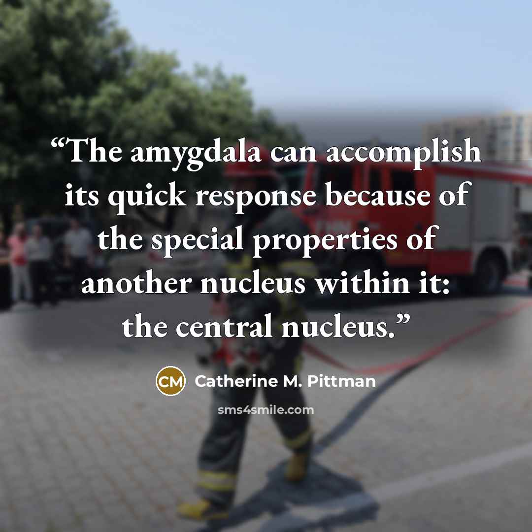 “The amygdala can accomplish its quick response because of the special properties of another nucleus within it: the central nucleus.” quote by Catherine M. Pittman