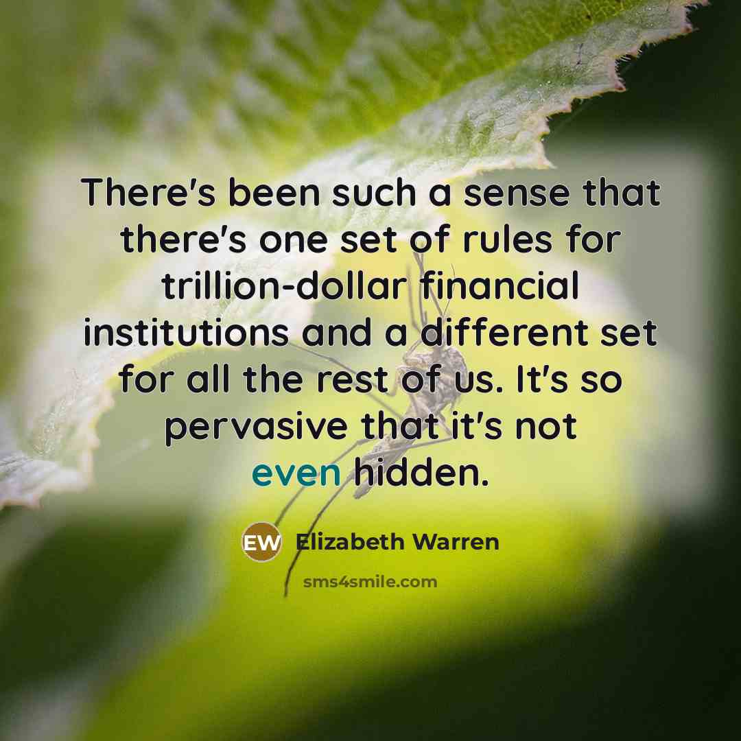 “There's been such a sense that there's one set of…” quote by Elizabeth Warren