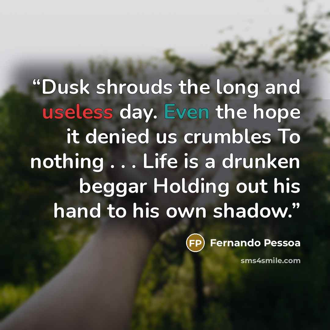 “Dusk shrouds the long and useless day. Even the hope it denied us crumbles To nothing . . . Life is a drunken beggar Holding out his hand to his own shadow.” quote by Fernando Pessoa