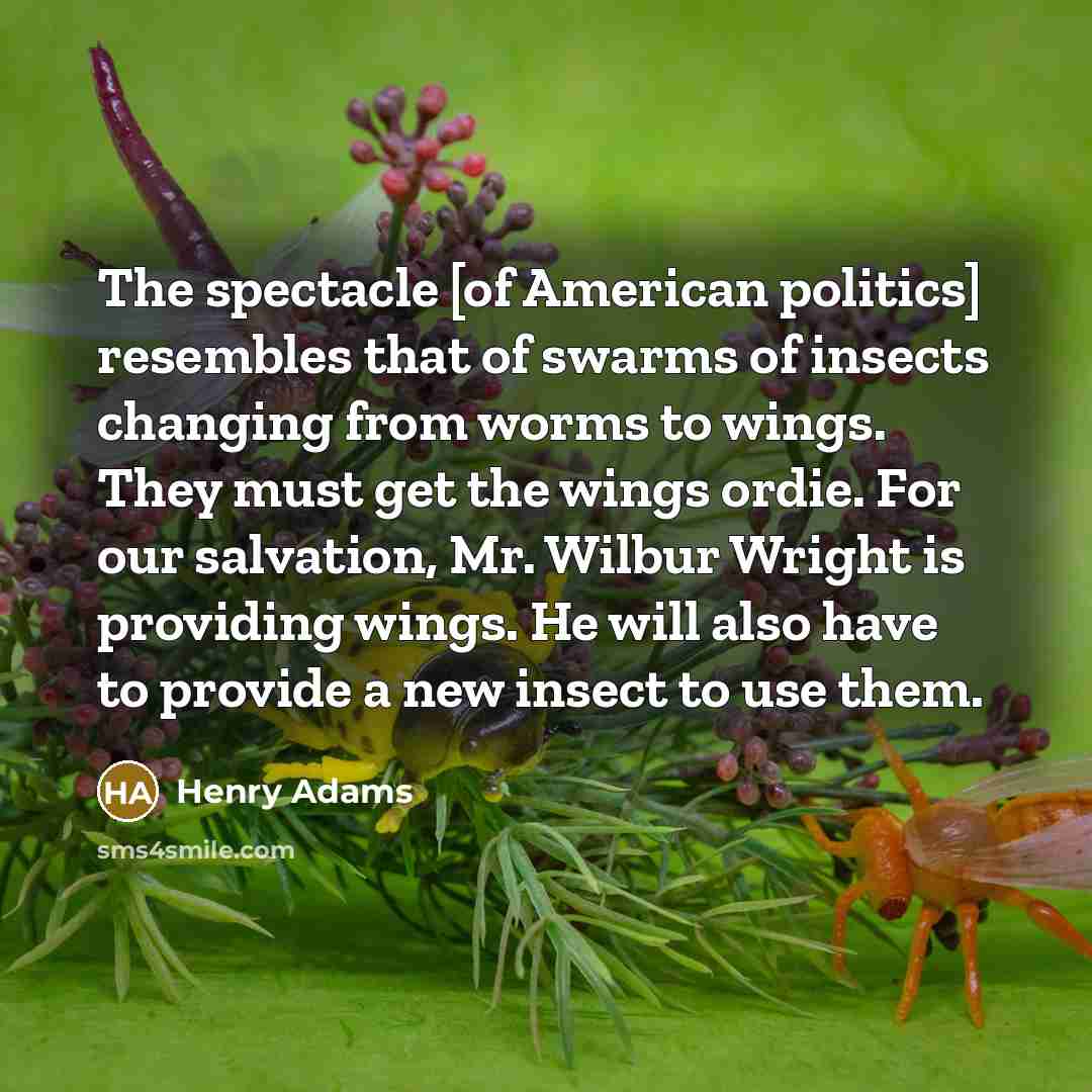 “The spectacle [of American politics] resembles that of swarms of…” quote by Henry Adams