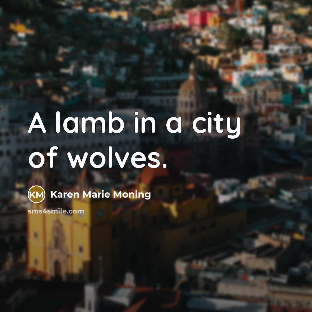 “A lamb in a city of wolves.…” quote by Karen Marie Moning