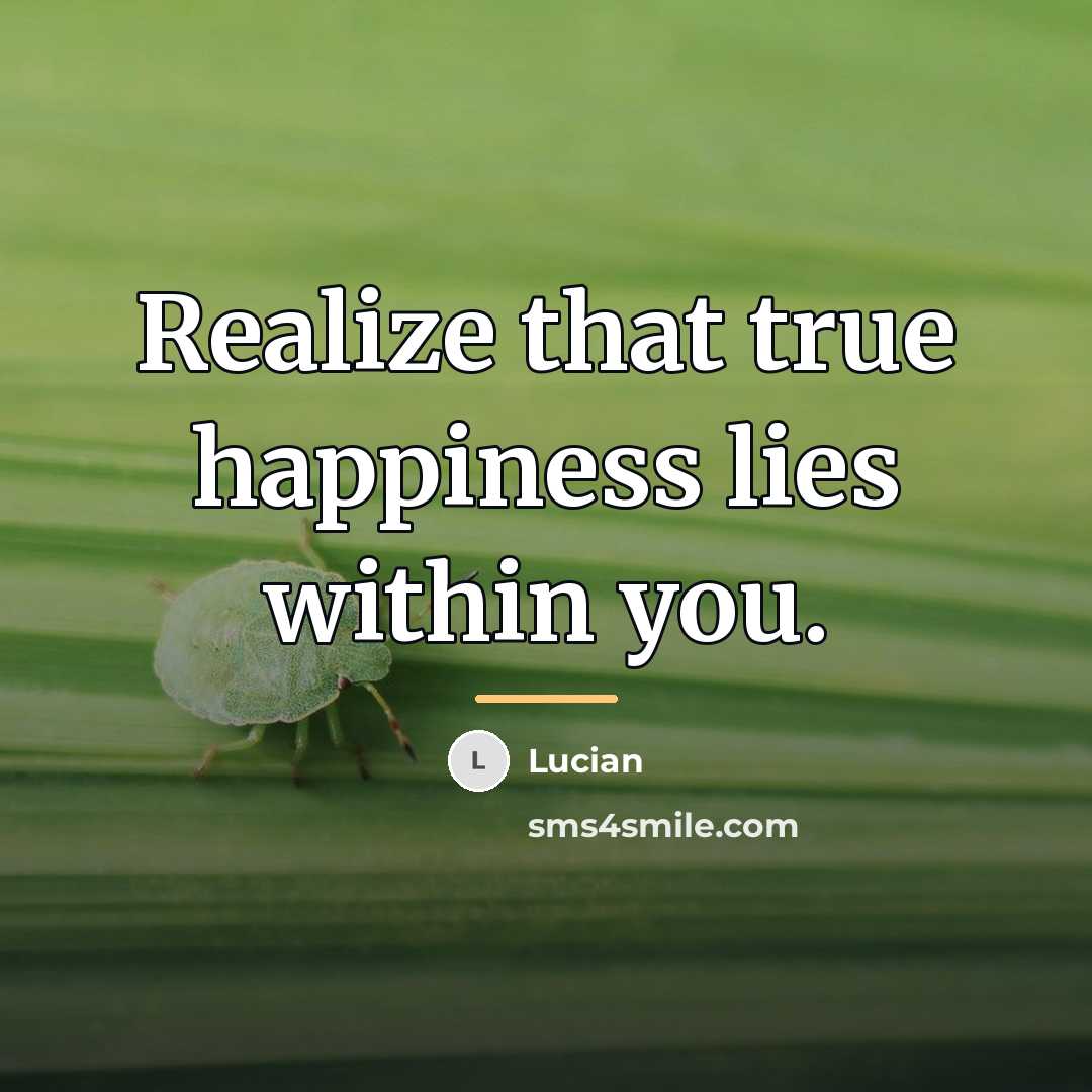 “Realize that true happiness lies within you.…” quote by Lucian