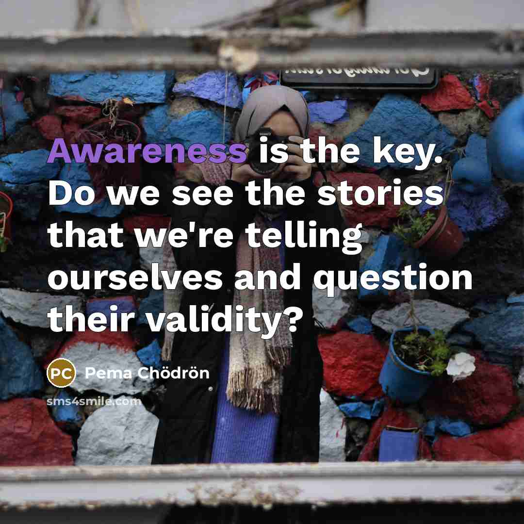 “Awareness is the key. Do we see the stories that…” quote by Pema Chodron