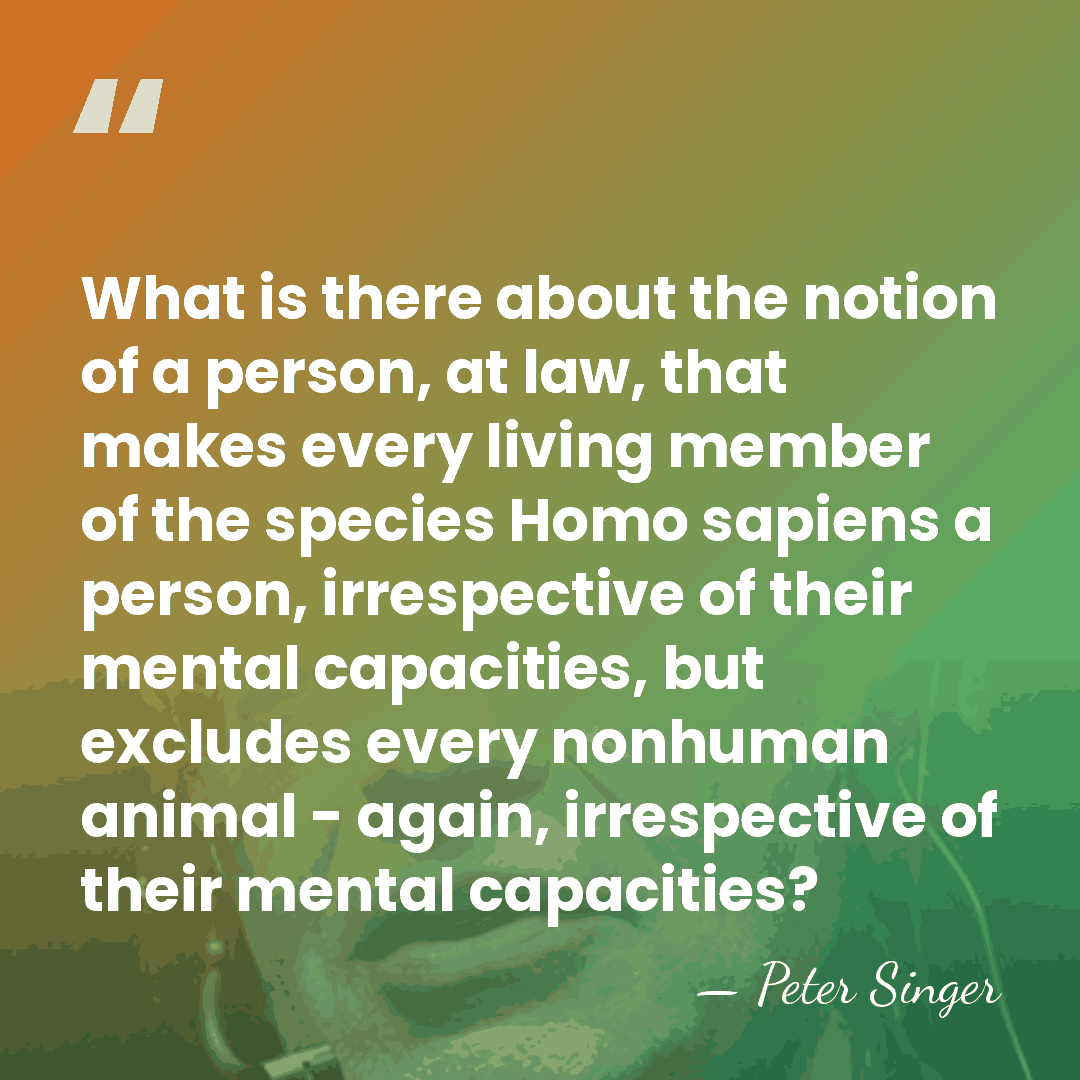 What is there about the notion of a person, at law, that&hellip; - Peter Singer