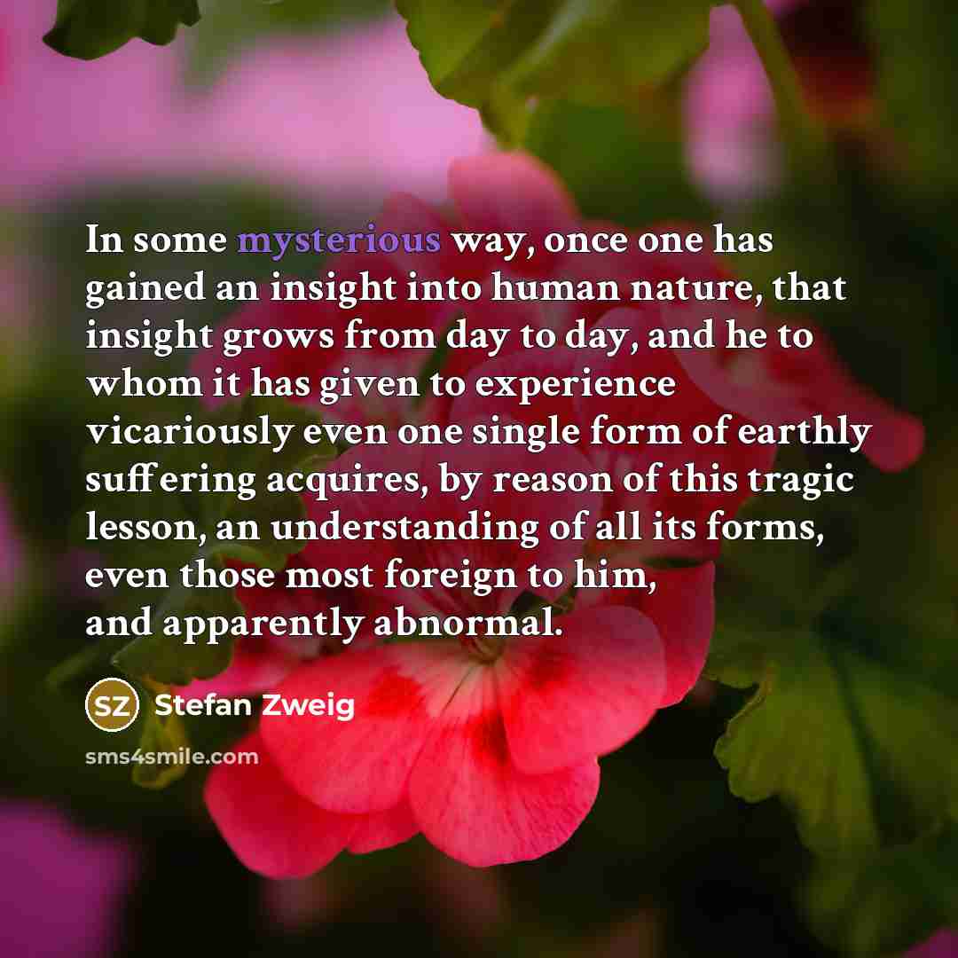 “In some mysterious way, once one has gained an insight…” quote by Stefan Zweig