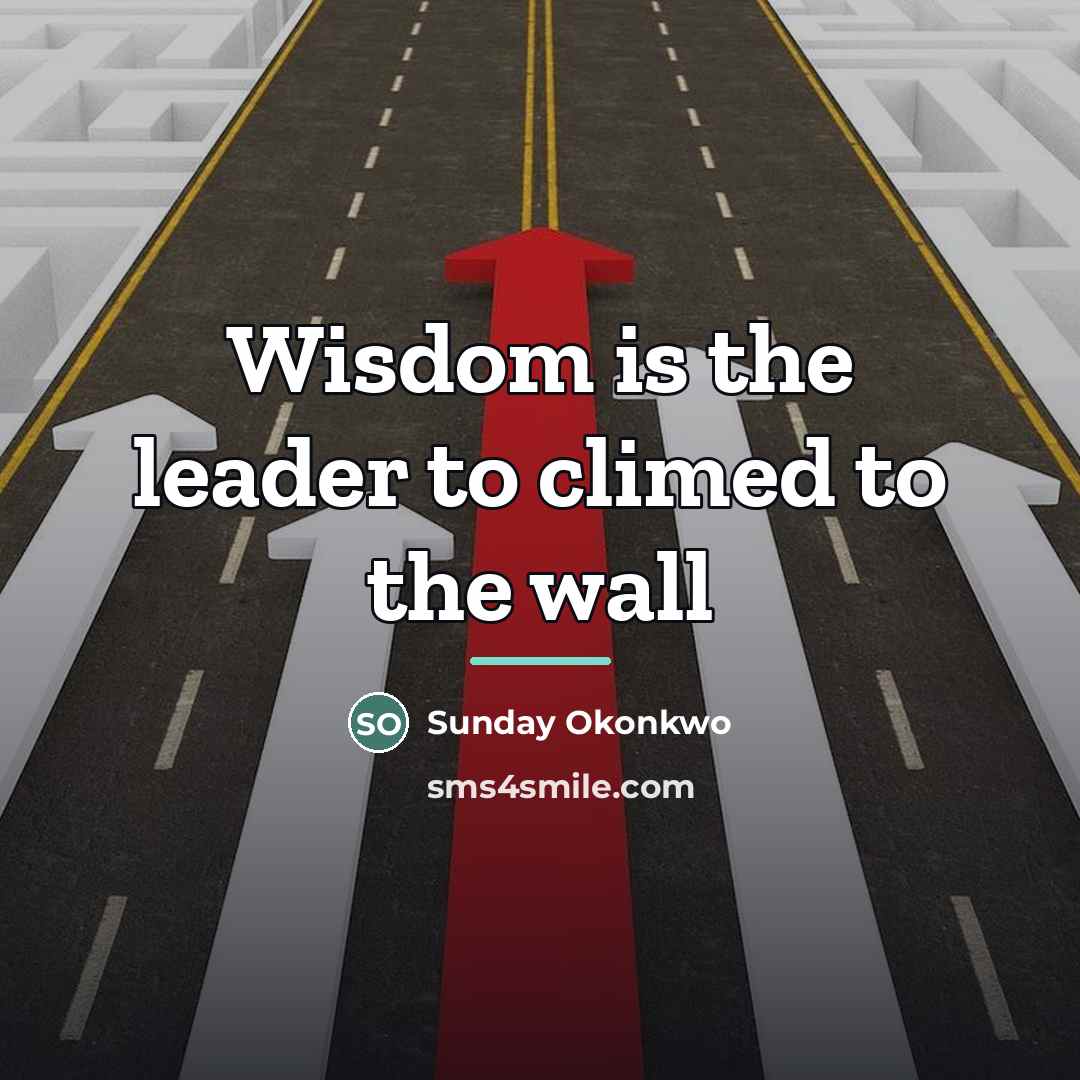 “Wisdom is the leader to climed to the wall…” quote by Sunday Okonkwo
