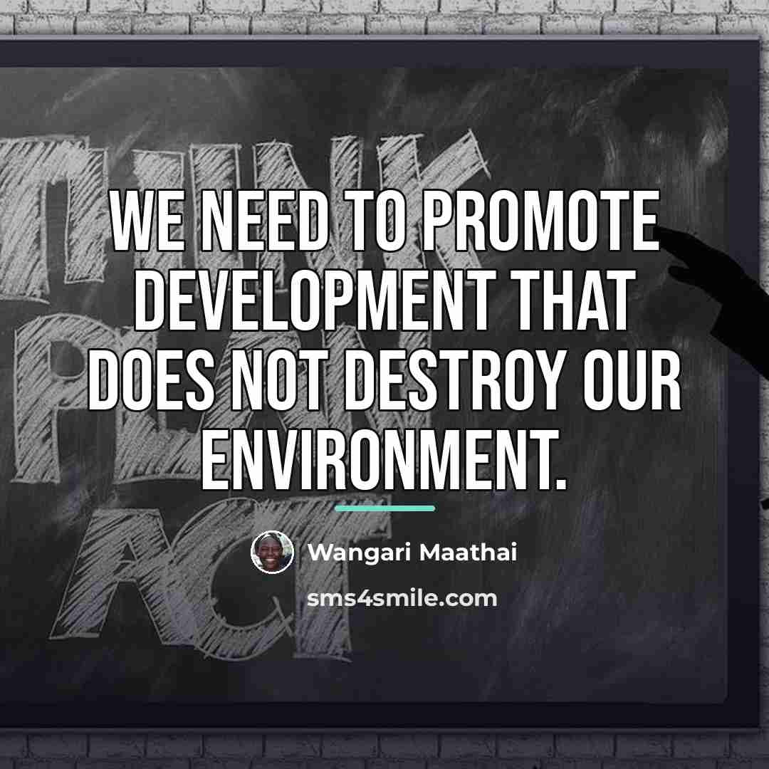 “We need to promote development that does not destroy our…” quote by Wangari Maathai