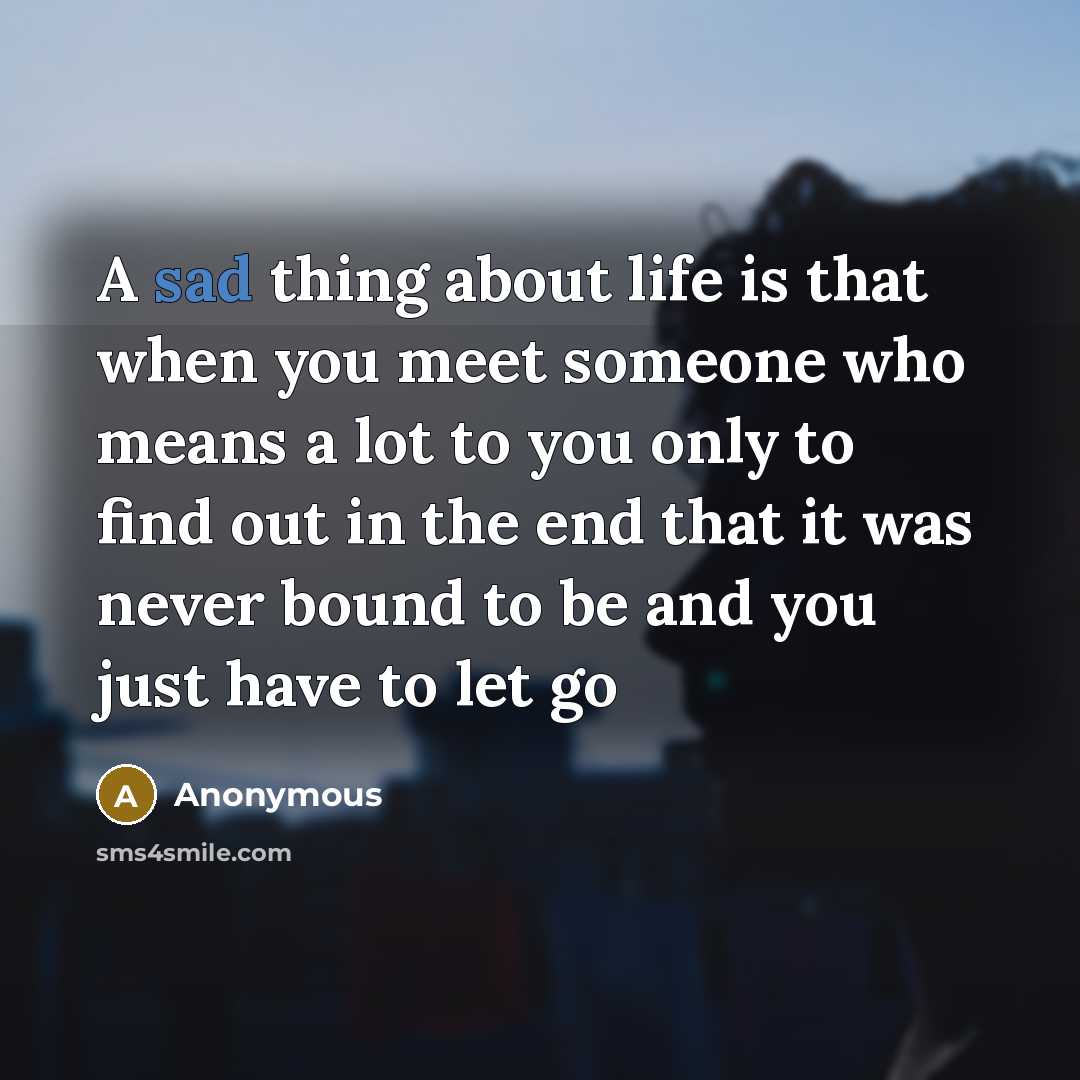 “A sad thing about life is that when you meet someone who means a lot to you only to find out in the end that it was never bound to be and you just have to let go” quote by Anonymous