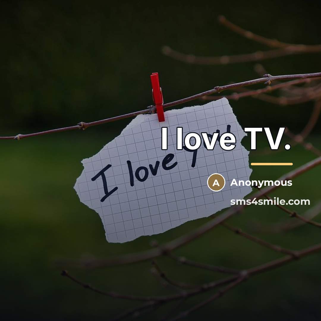 “I love TV.…” quote by Anonymous