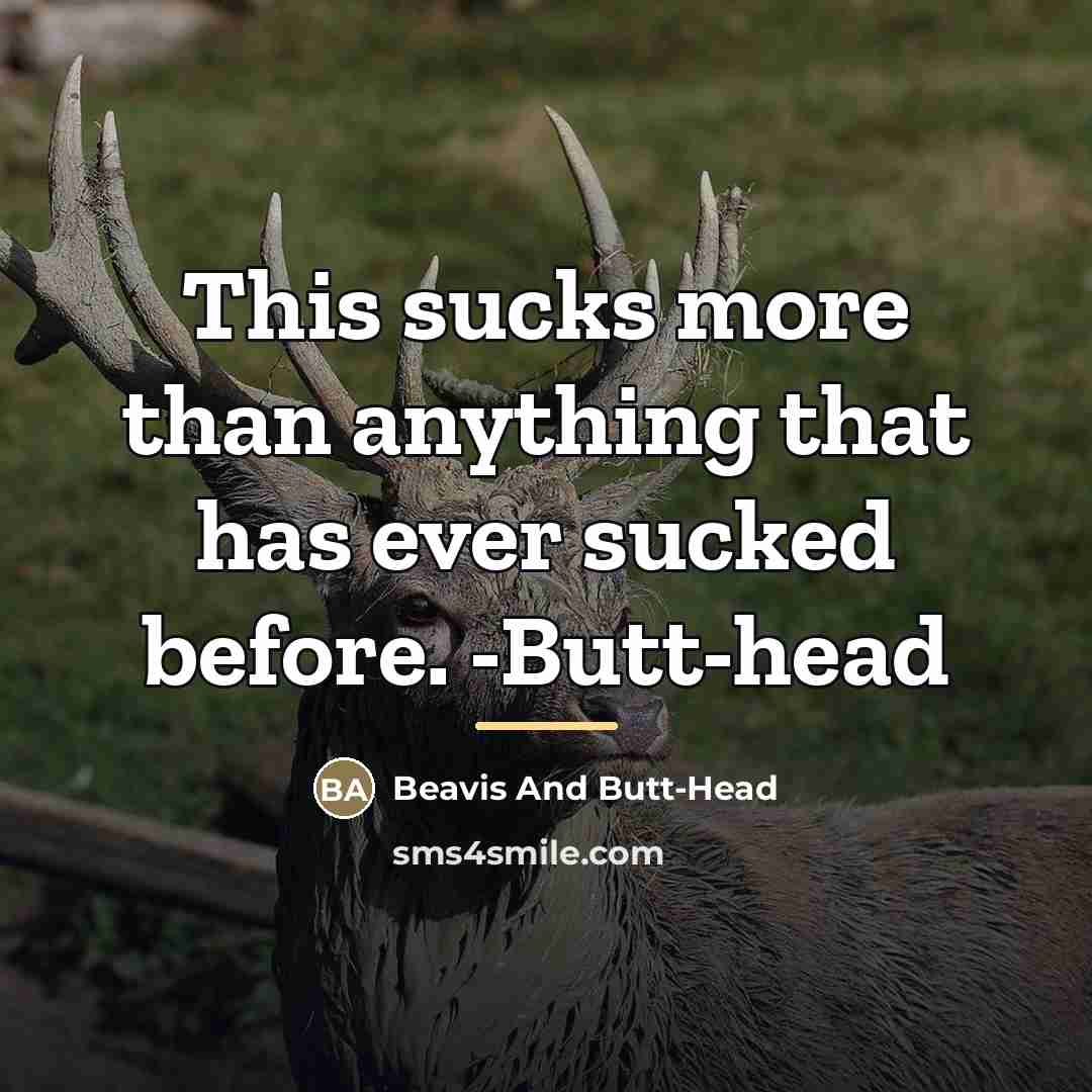 “This sucks more than anything that has ever sucked before.…” quote by Beavis And Butt-Head