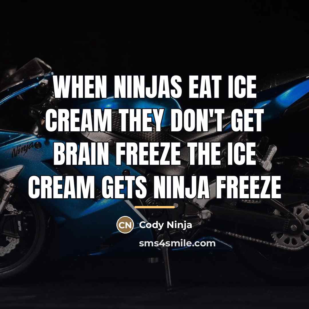 “When ninjas eat ice cream they don't get brain freeze…” quote by Cody Ninja