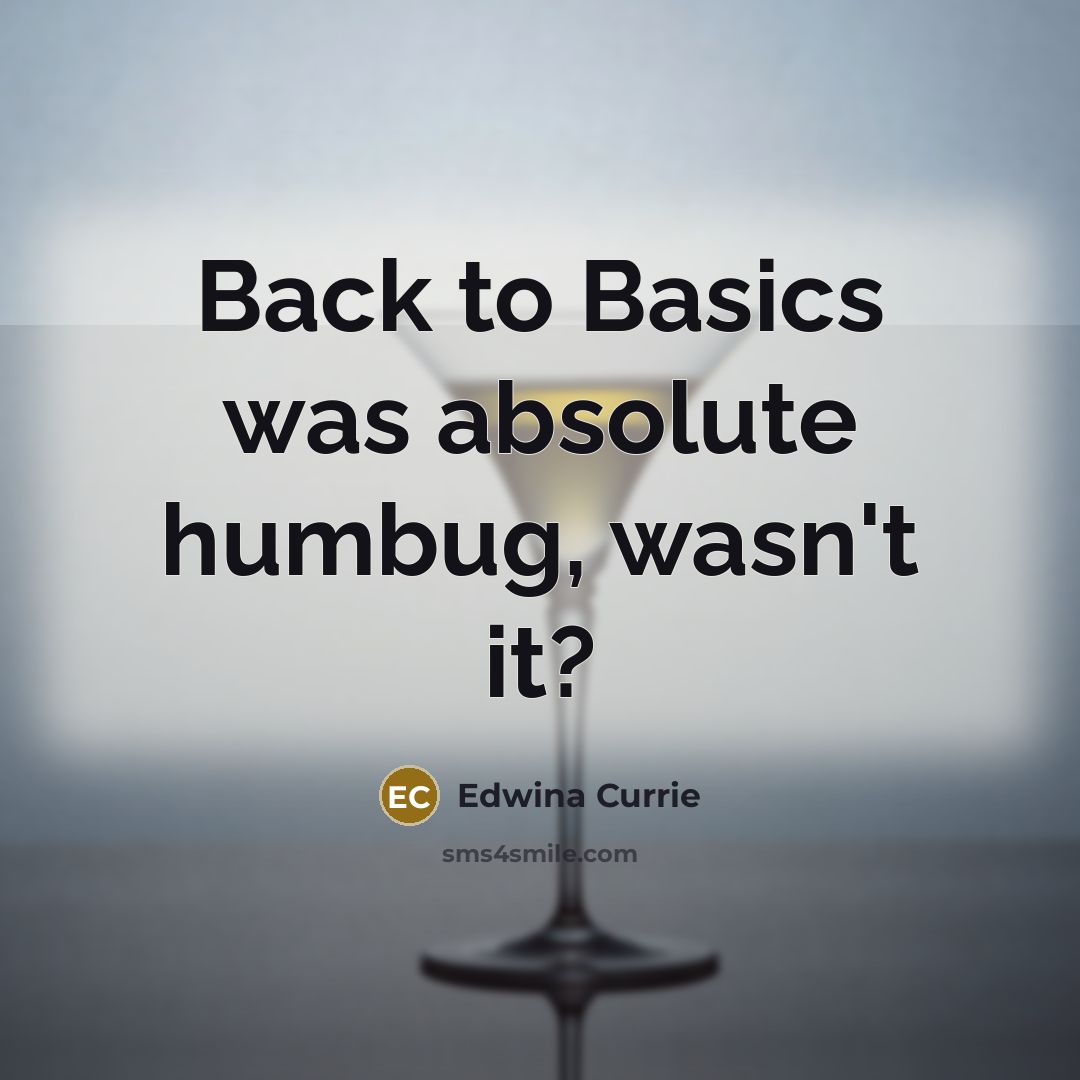 “Back to Basics was absolute humbug, wasn't it?…” quote by Edwina Currie
