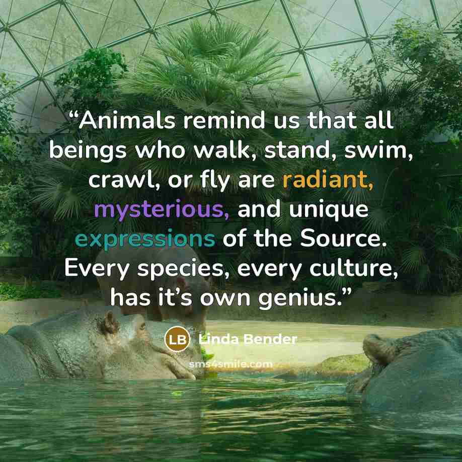 “Animals remind us that all beings who walk, stand, swim, crawl, or fly are radiant, mysterious, and unique expressions of the Source. Every species, every culture, has it’s own genius.” quote by Linda Bender