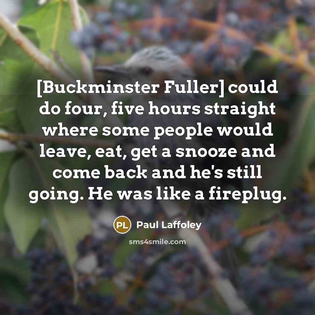 “[Buckminster Fuller] could do four, five hours straight where some…” quote by Paul Laffoley