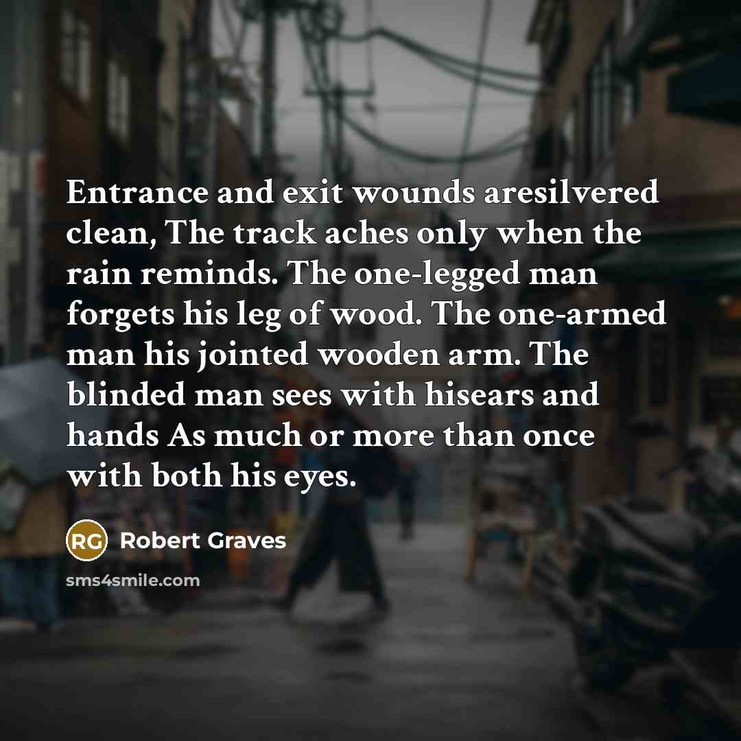 “Entrance and exit wounds aresilvered clean, The track aches only…” quote by Robert Graves