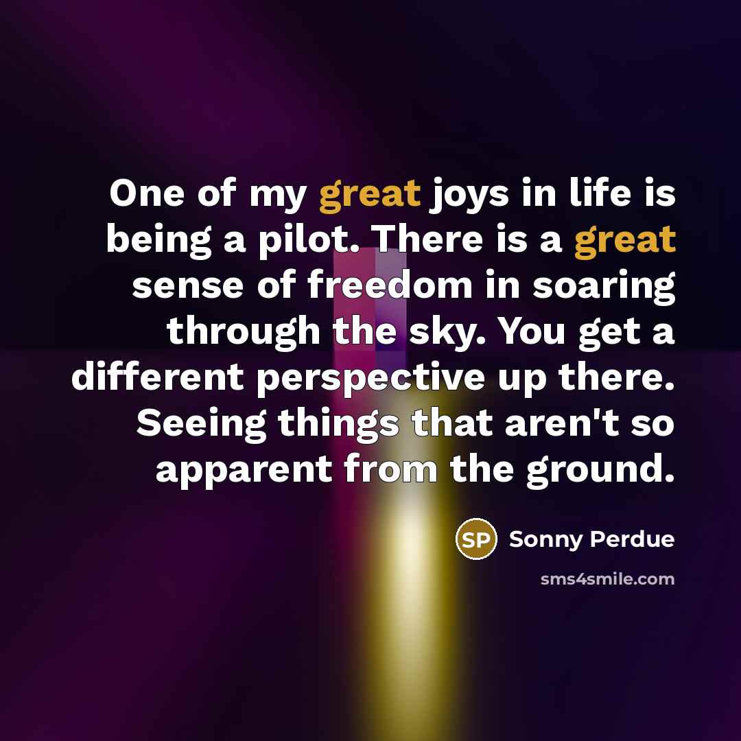 “One of my great joys in life is being a…” quote by Sonny Perdue
