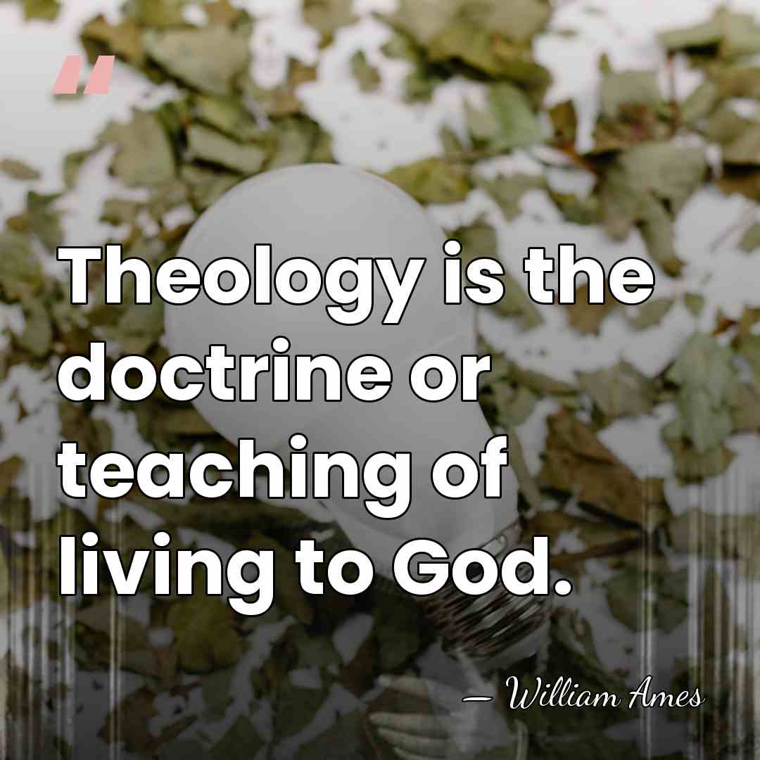 Theology is the doctrine or teaching of living to God. - William Ames