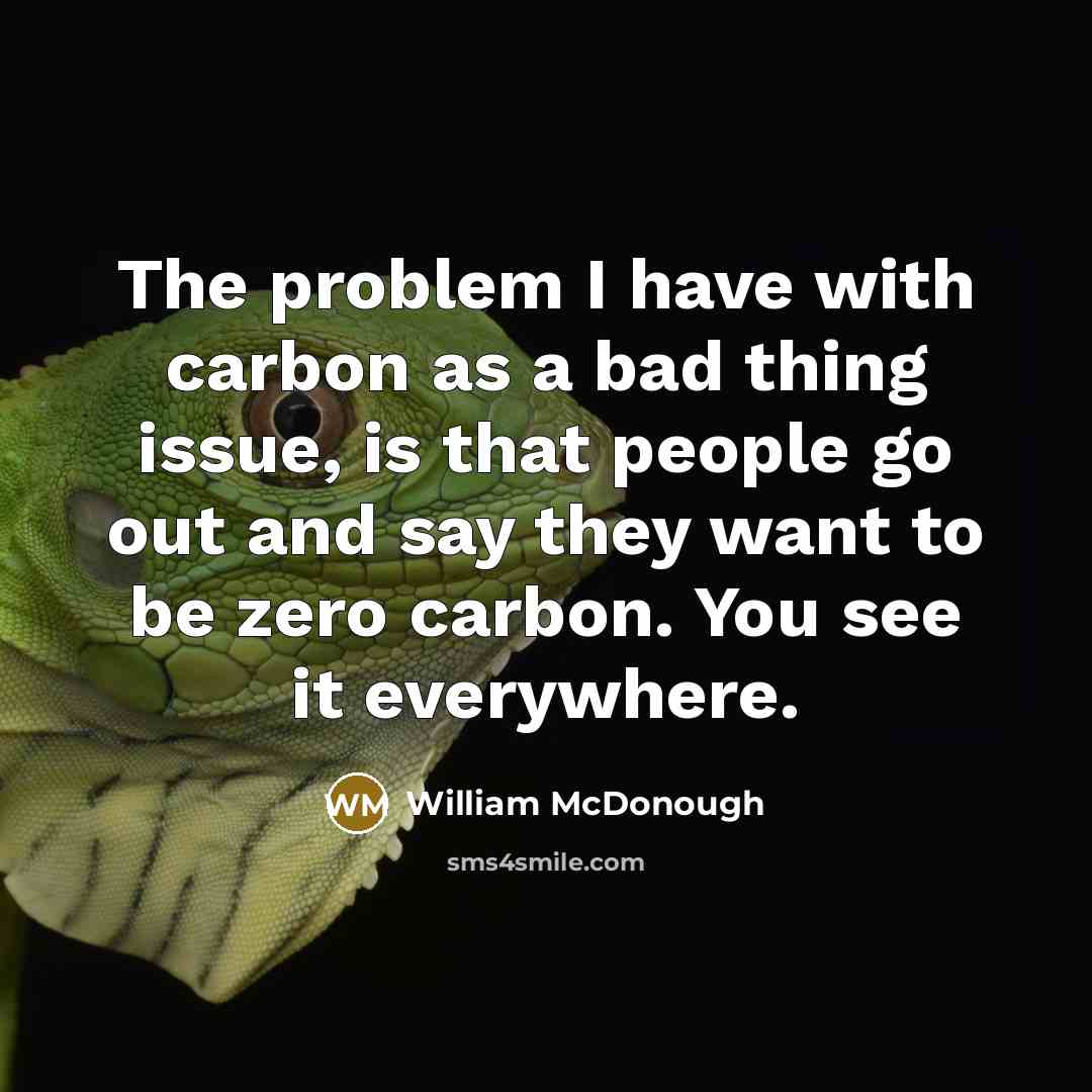 “The problem I have with carbon as a bad thing…” quote by William McDonough