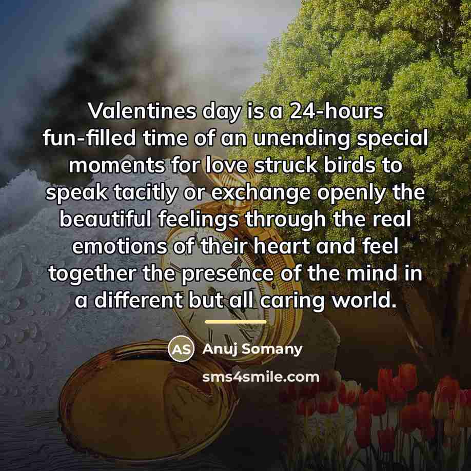 “Valentines day is a 24-hours fun-filled time of an unending…” quote by Anuj Somany