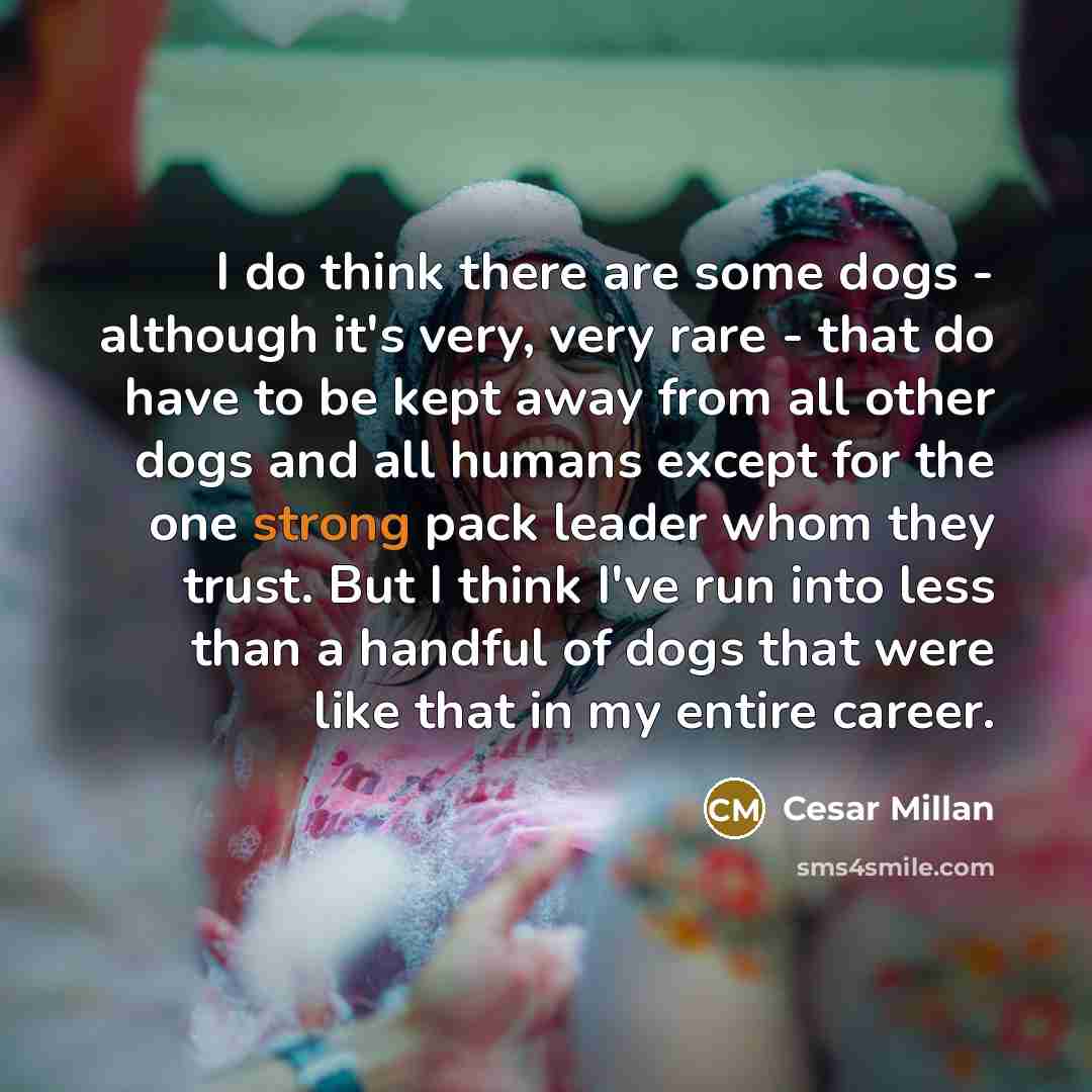“I do think there are some dogs - although it's…” quote by Cesar Millan