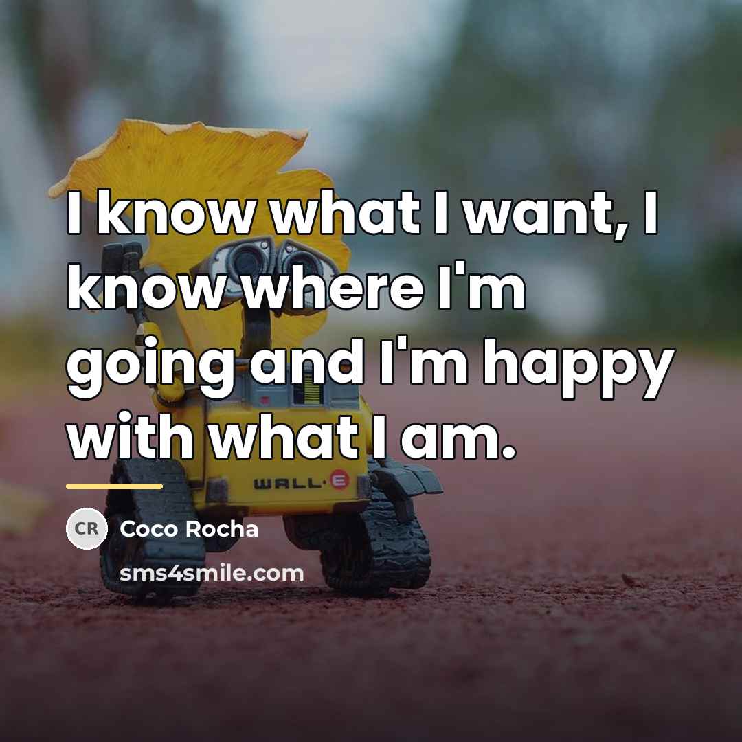“I know what I want, I know where I'm going…” quote by Coco Rocha