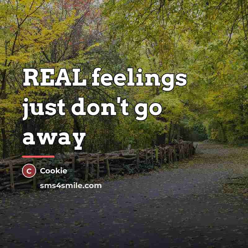 “REAL feelings just don't go away…” quote by Cookie
