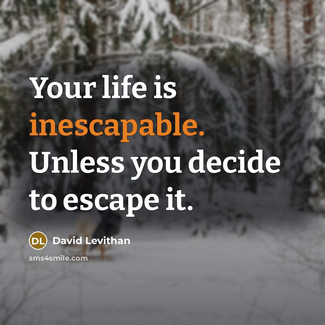 “Your life is inescapable. Unless you decide to escape it.” quote by David Levithan