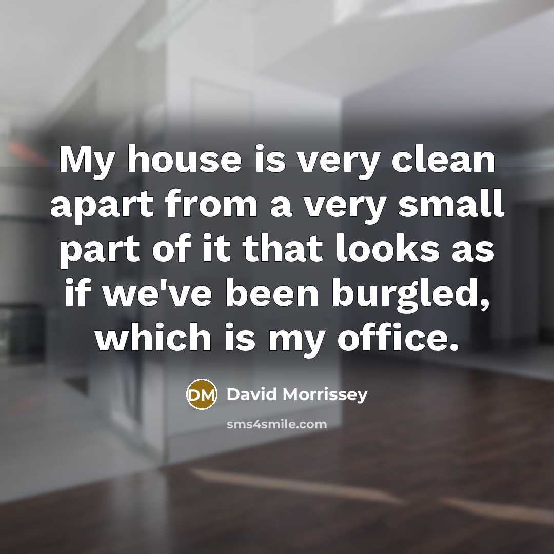“My house is very clean apart from a very small…” quote by David Morrissey