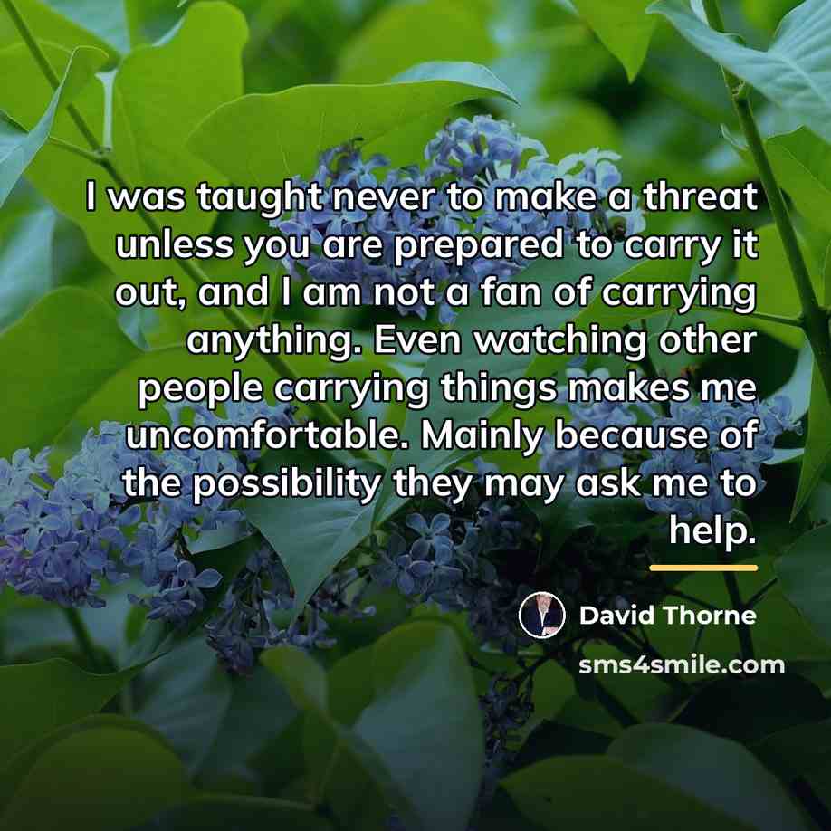 “I was taught never to make a threat unless you…” quote by David Thorne