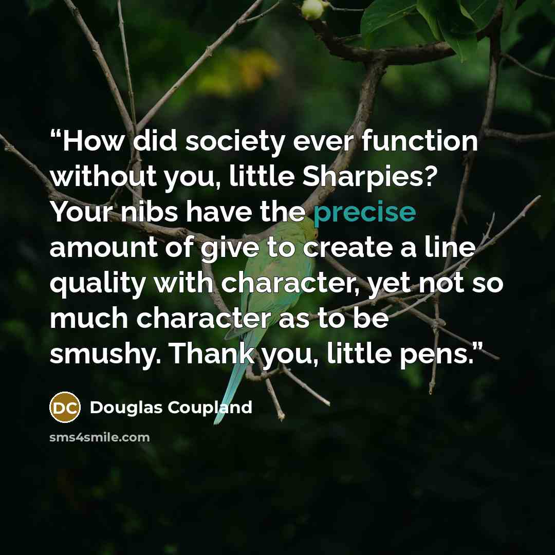 “How did society ever function without you, little Sharpies? Your nibs have the precise amount of give to create a line quality with character, yet not so much character as to be smushy. Thank you, little pens.” quote by Douglas Coupland
