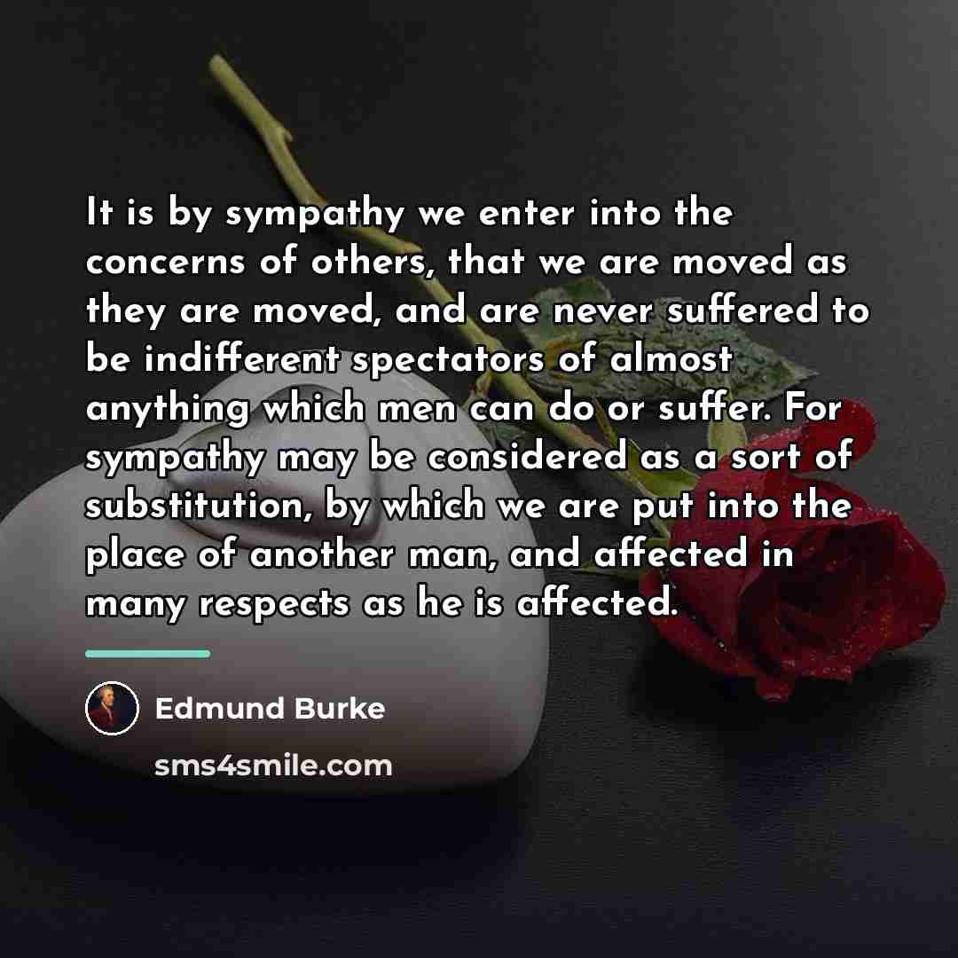 “It is by sympathy we enter into the concerns of…” quote by Edmund Burke