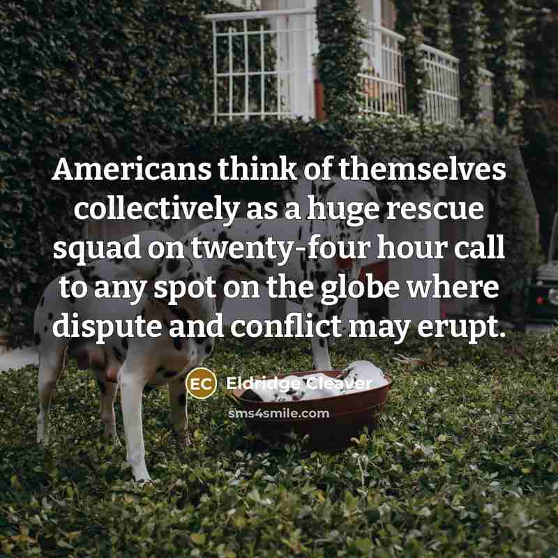 “Americans think of themselves collectively as a huge rescue squad…” quote by Eldridge Cleaver