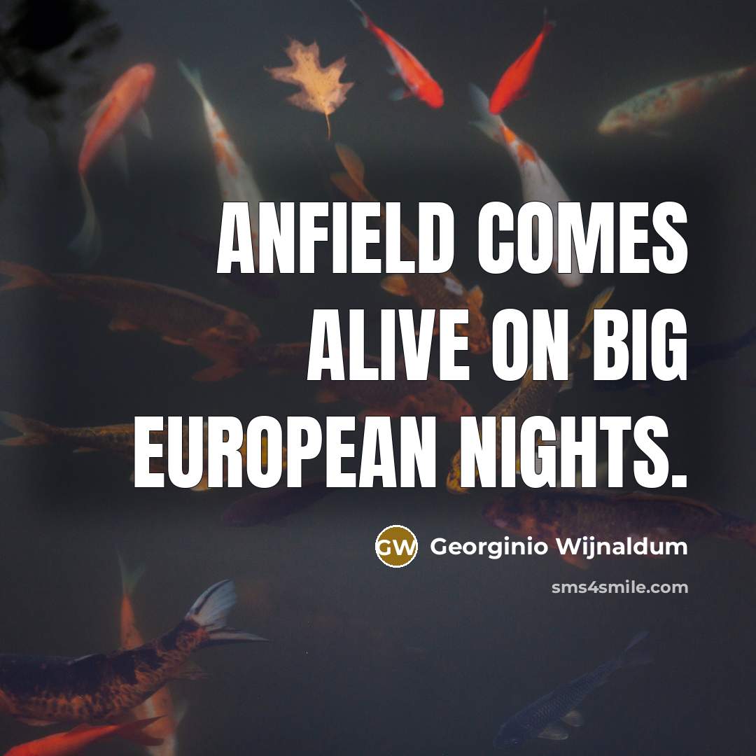 “Anfield comes alive on big European nights.…” quote by Georginio Wijnaldum