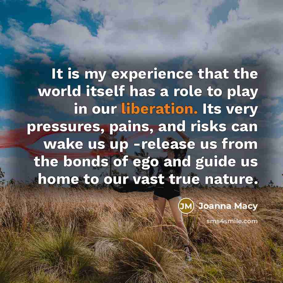 “It is my experience that the world itself has a…” quote by Joanna Macy