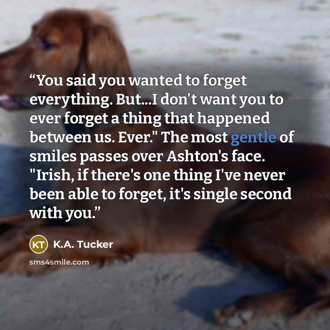 “You said you wanted to forget everything. But...I don't want you to ever forget a thing that happened between us. Ever." The most gentle of smiles passes over Ashton's face. "Irish, if there's one thing I've never been able to forget, it's single second with you.” quote by K.A. Tucker