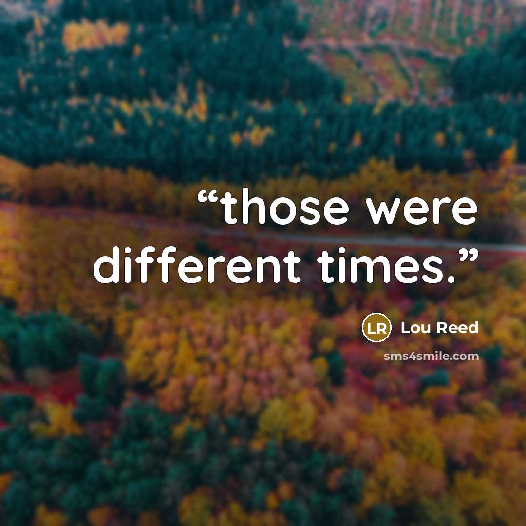 “those were different times.” quote by Lou Reed