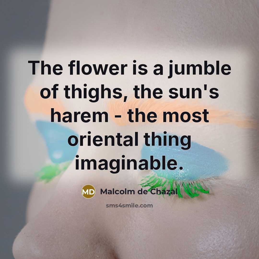 “The flower is a jumble of thighs, the sun's harem…” quote by Malcolm de Chazal